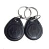 Tag RFID 125Khz 100un